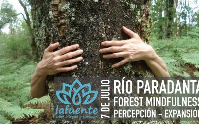 DÍA FOREST MINDFULNESS – 7 JULIO