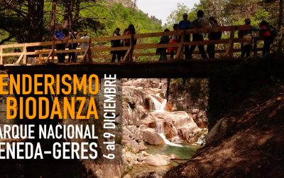 PUENTE DE DICIEMBRE EN EL PARQUE NACIONAL DEL GERÊS