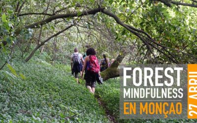 FOREST MINDFULNESS |  MONÇAO  27  ABRIL