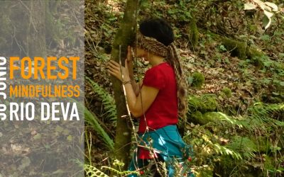 FOREST MINDFULNESS – RÍO DEVA 30 JUNIO