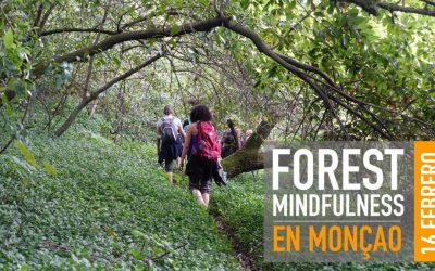 FOREST MINDFULNESS – EN MONÇÃO 16 FEBRERO