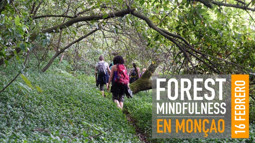 FOREST MINDFULNESS – EN MONÇÃO 16 FEBRERO