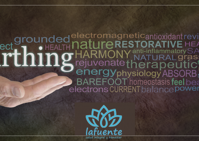 EARTHING&GROUNDING | CONECTARSE CON LA TIERRA