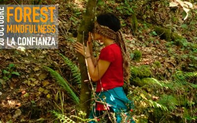 FOREST MINDFULNESS – LA CONFIANZA