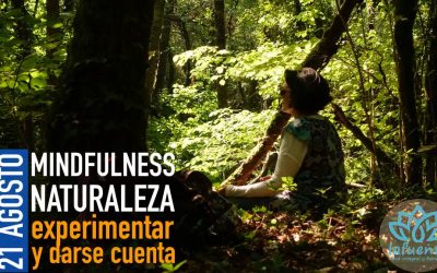 MINDFULNESS & NATURALEZA EN CAÑIZA – 21 AGOSTO